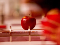 Roter Apfel auf einem geöffneten Aktenordner.